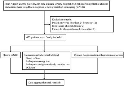 Comprehensive evaluation of plasma microbial cell-free DNA sequencing for predicting bloodstream and local infections in clinical practice: a multicenter retrospective study